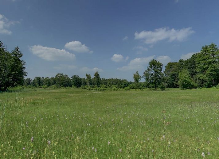Ruime eetkamer in vakantiehuisje in Hezingen, perfect voor familiebijeenkomsten in Twente, Overijssel.