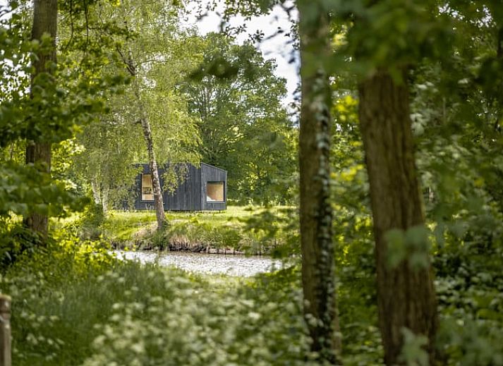 Gezellige avond bij Vakantiehuis in Hezingen, een knus verblijf in de natuur van Twente, Overijssel.