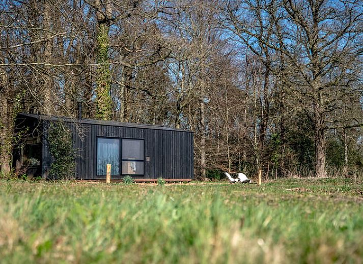 Gezellige avond bij Vakantiehuis in Hezingen, een knus verblijf in de natuur van Twente, Overijssel.