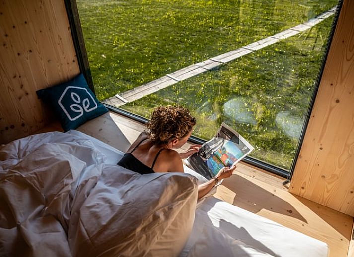 Rustige omgeving van Vakantiehuis in Hezingen, omgeven door natuur in Twente, Overijssel.