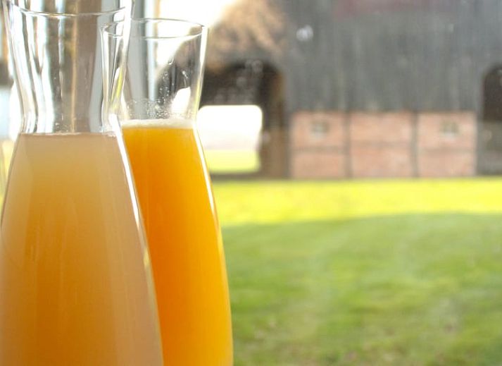 Gemuetliches Kinderzimmer mit Etagenbett im Ferienhaus in Beuningen, ideal fuer Familien in Twente, Overijssel.