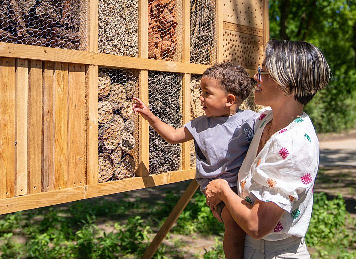 Verblijf 521016 - Vakantiewoning Twente - Vrijstaande woning in Beuningen
