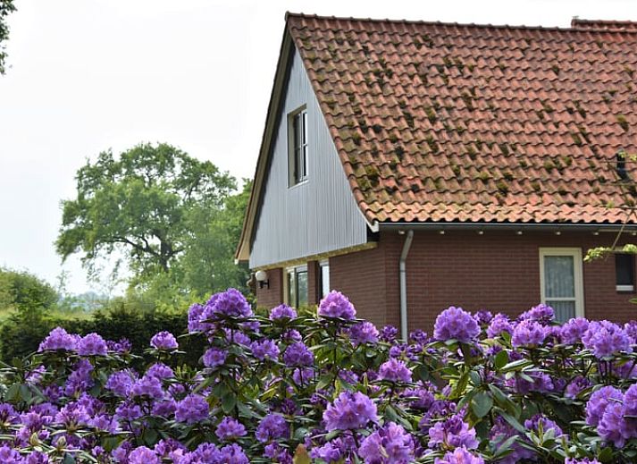 Verblijf 521019 - Vakantiewoning Twente - Huisje in Beuningen