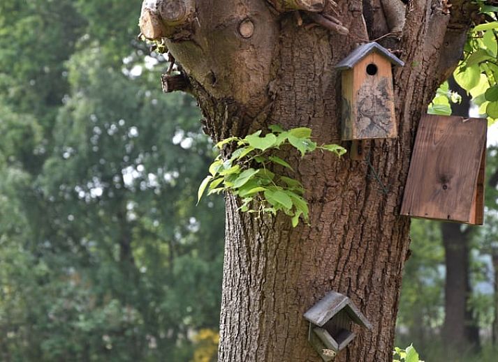 Verblijf 521019 - Vakantiewoning Twente - Huisje in Beuningen