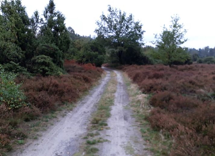 Geniet van de rust op het terras van Huisje in Beuningen, een vakantiehuis in het groene Twente, Overijssel.