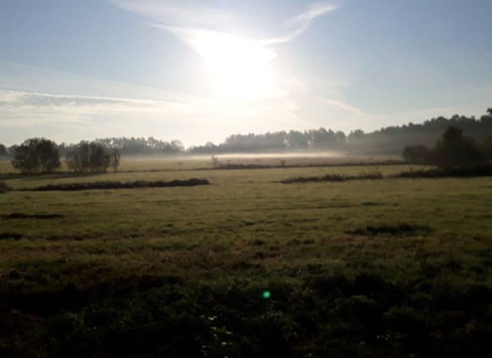 Geniet van de rust op het terras van Huisje in Beuningen, een vakantiehuis in het groene Twente, Overijssel.