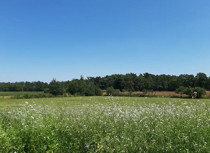 Geniet van de rust op het terras van Huisje in Beuningen, een vakantiehuis in het groene Twente, Overijssel.