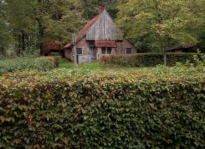 Geniet van de rust op het terras van Huisje in Beuningen, een vakantiehuis in het groene Twente, Overijssel.