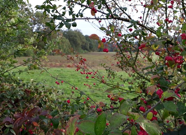 Binnenruimte van Huisje in Beuningen, vakantiehuis in Twente, Overijssel met moderne badkamer en rustieke kast.