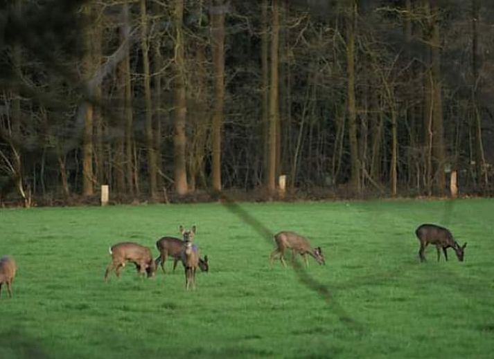 Binnenruimte van Huisje in Beuningen, vakantiehuis in Twente, Overijssel met moderne badkamer en rustieke kast.