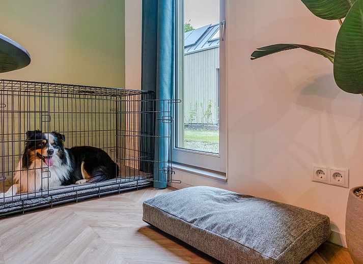 Verblijf 521024 - Bungalow Twente - 4-persoons hondenwoning | 4LD