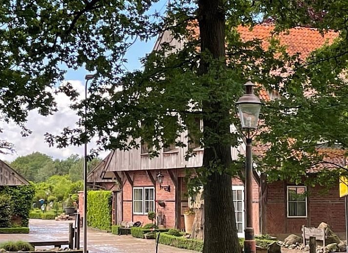 Uitzicht op weelderige velden bij Huisje in Vasse, vakantiehuis in Twente, Overijssel.