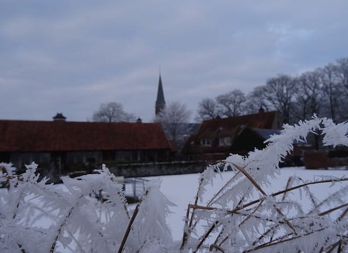 Bloeiende tuin bij Huisje in Vasse, vakantiehuis in Twente, Overijssel, omringd door natuur.
