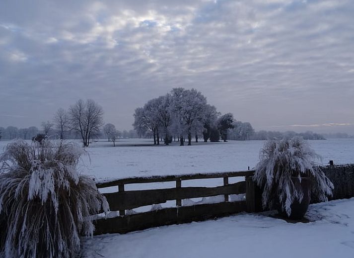 Bloeiende tuin bij Huisje in Vasse, vakantiehuis in Twente, Overijssel, omringd door natuur.