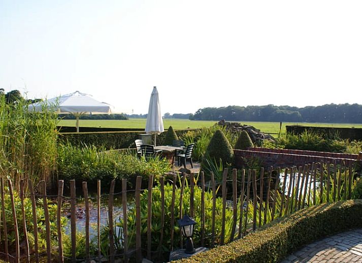 Uitzicht op groene velden bij Vakantiehuisje in Vasse, Twente, Overijssel.