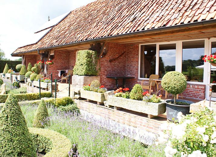 Uitzicht op groene velden bij Vakantiehuisje in Vasse, Twente, Overijssel.