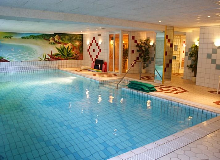 Terras met zitje bij Vakantiehuisje in Vasse, Twente, Overijssel, omgeven door natuur.