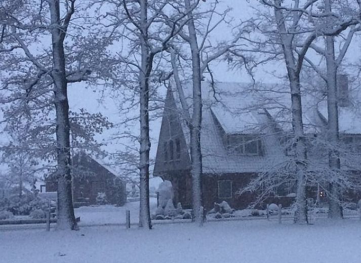 Terras met zitje bij Vakantiehuisje in Vasse, Twente, Overijssel, omgeven door natuur.