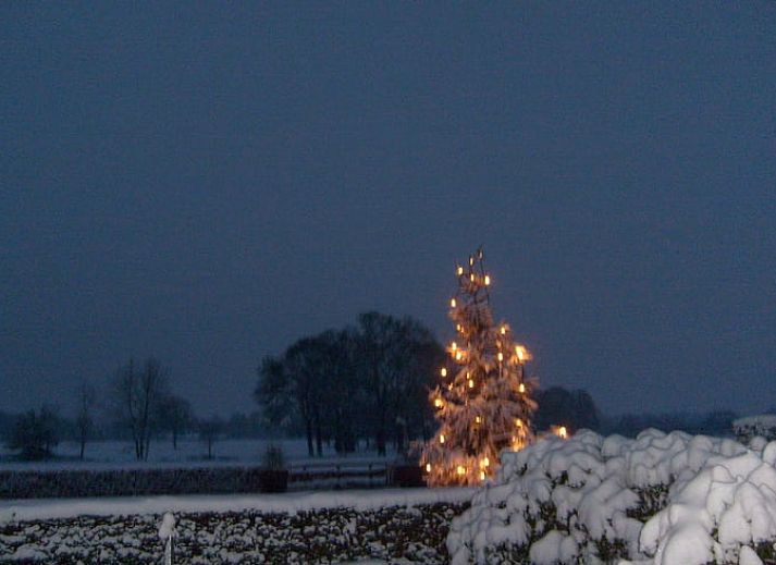 Rustige tuin met vijver bij Vakantiehuisje in Vasse, Twente, Overijssel.