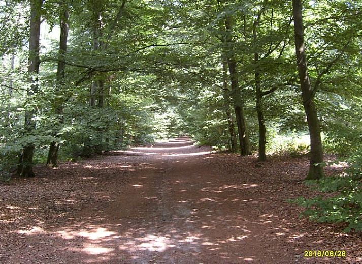 Unterkunft 521109 - Ferienhaus Twente - Vakantiehuis in Vasse