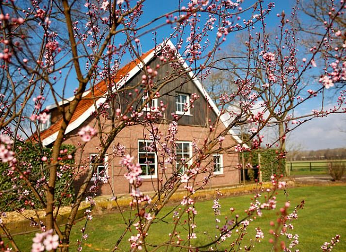 Verblijf 521202 • Vakantiewoning Twente • Tuinpad