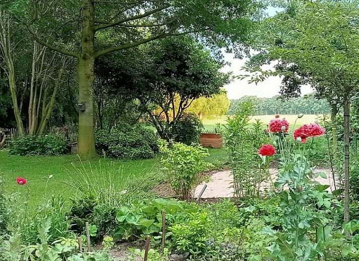 Unterkunft 521206 - Ferienhaus Twente - Vakantiehuis in De Pollen (Geesteren)