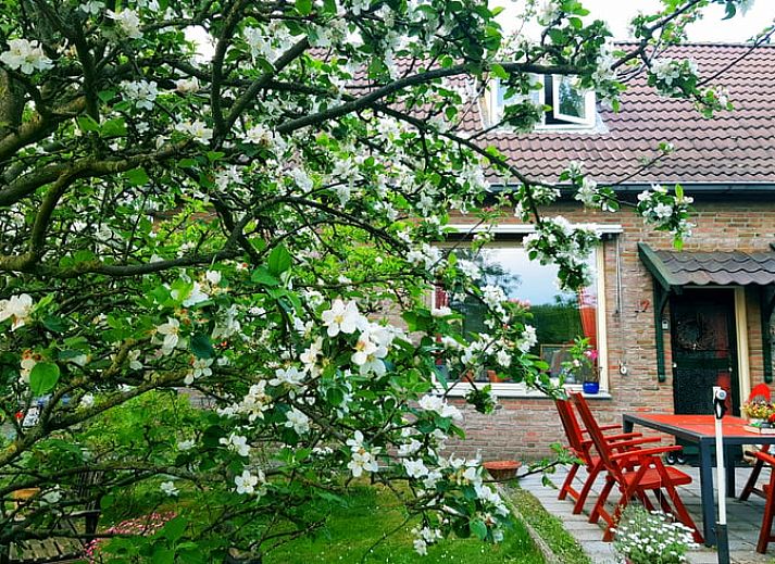 Unterkunft 521302 • Ferienhaus Twente • Vakantiehuisje in Overdinkel