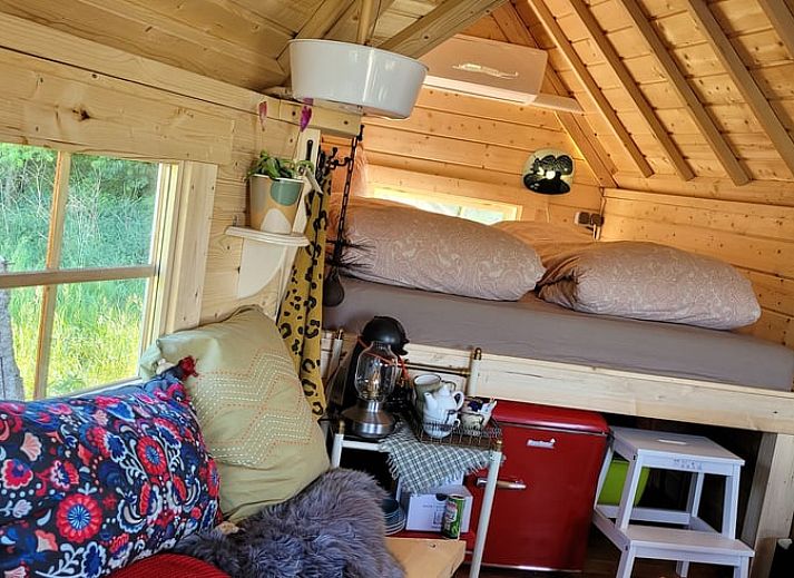 Cozy wooden vacation home in Overdinkel, Twente, Overijssel, surrounded by green nature.