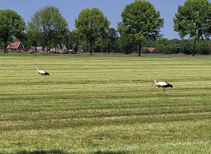 Cozy indoor area of Holiday Home in Overdinkel, Twente, with comfortable sitting area and bed.