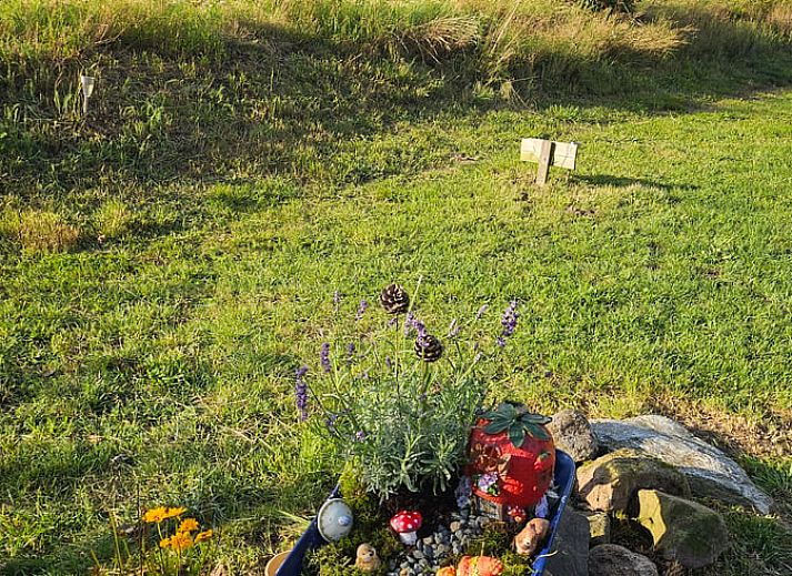 Back of Holiday Home in Overdinkel, Twente, overlooking vast meadows.