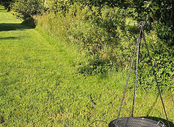 Back of Holiday Home in Overdinkel, Twente, overlooking vast meadows.