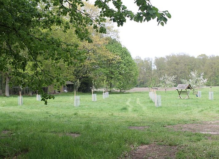 Unterkunft 521304 - Ferienhaus Twente - Huisje in Overdinkel