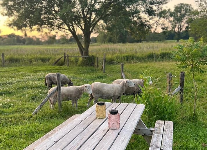 Gemuetliche Essecke im Ferienhaus in Overdinkel, perfekt fuer eine gemuetliche Mahlzeit in Twente, Overijssel.