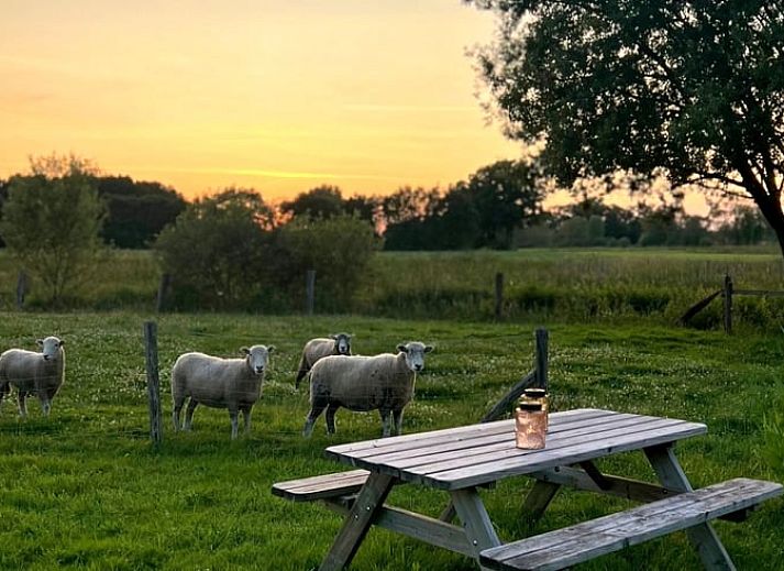 Gemuetliche Essecke im Ferienhaus in Overdinkel, perfekt fuer eine gemuetliche Mahlzeit in Twente, Overijssel.