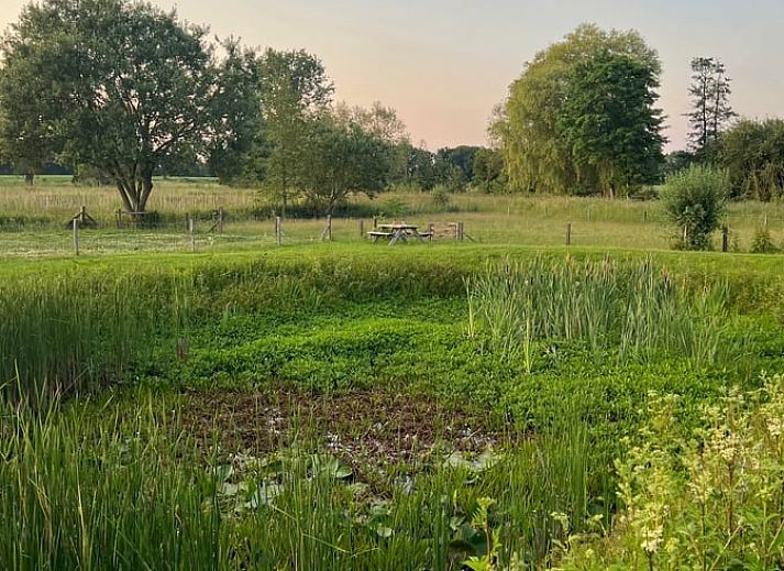 Gemuetliche Essecke im Ferienhaus in Overdinkel, perfekt fuer eine gemuetliche Mahlzeit in Twente, Overijssel.