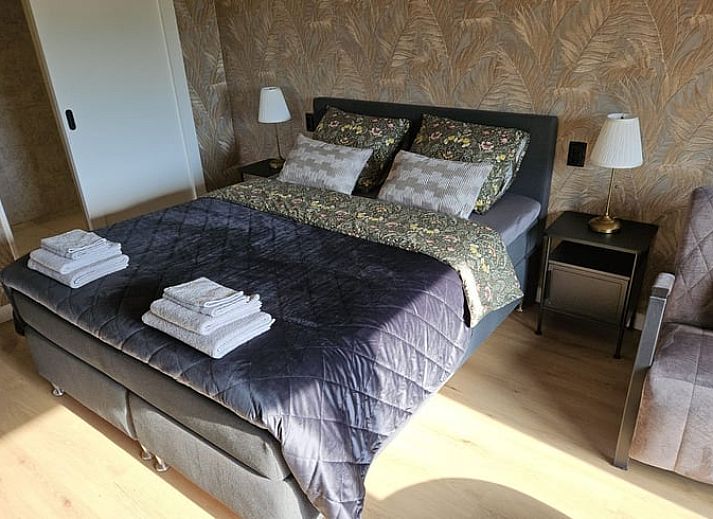 Prachtig uitzicht vanuit Huisje in Weerselo, vakantiehuis in Overijssel te midden van weelderige natuur.