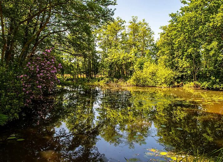Vakantiehuis OV682 in Tilligte, Twente, bedekt met een laag sneeuw in de winter.