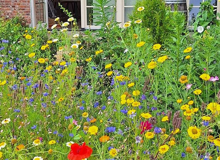 Das Ferienhaus in Tilligte, Twente, bietet einen charmanten Aufenthalt mit rustikalen Backstein- und Holzfassaden, umgeben von gruener Natur in Overijssel.