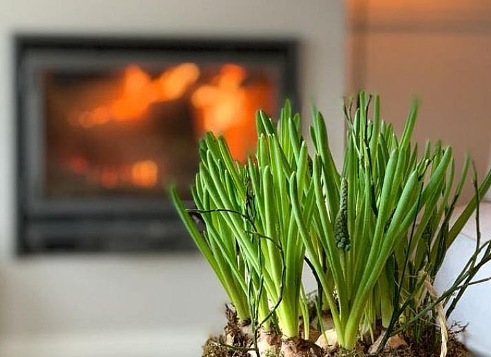 Lichte en ruime binnenruimte van Vakantiehuis in Reutum, Twente, Overijssel met moderne inrichting.