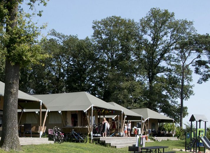 Verblijf 521718 - Vakantiewoning Twente - Vakantiehuis Camping de Molenhof - Tentlodge 6 personen