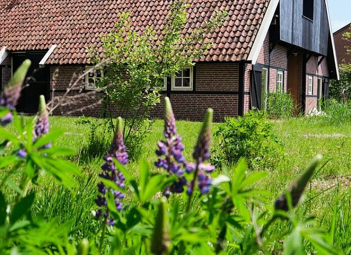 Verblijf 521724 • Vakantiewoning Twente • Vakantiehuis in Reutum
