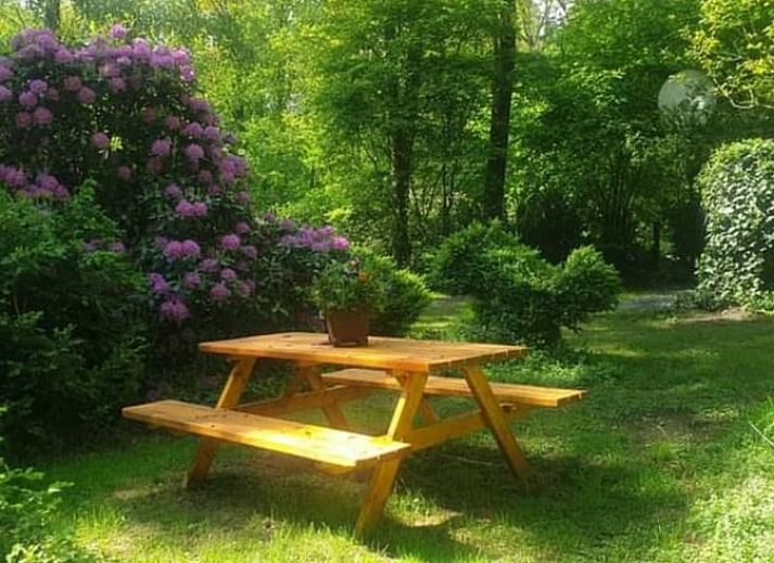 Gemuetliches Wohnzimmer im Ferienhaus in Reutum, Twente, mit komfortabler Sitzecke.