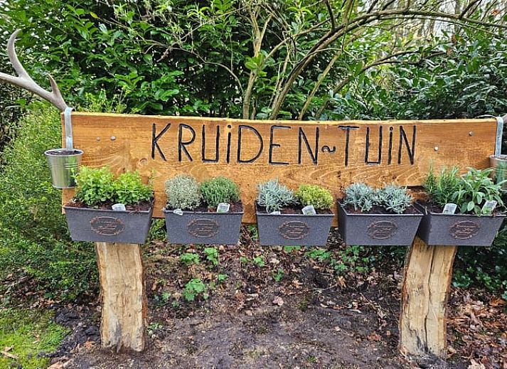 Stimmungsvolles abendliches Lagerfeuer im Ferienhaus in Reutum, Twente, Overijssel.