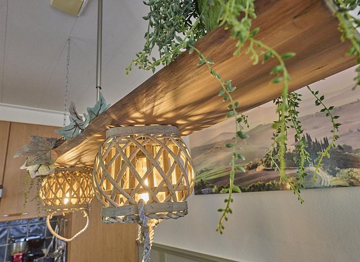 Blick von der Veranda des Ferienhauses Langgoor in Reutum, Twente mit gruener Landschaft.