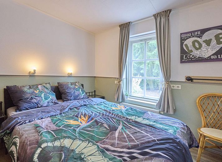 Blick von der Veranda des Ferienhauses Langgoor in Reutum, Twente mit gruener Landschaft.