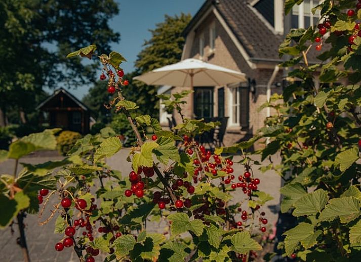 Unterkunft 521810 - Ferienhaus Twente - Huisje in Rijssen
