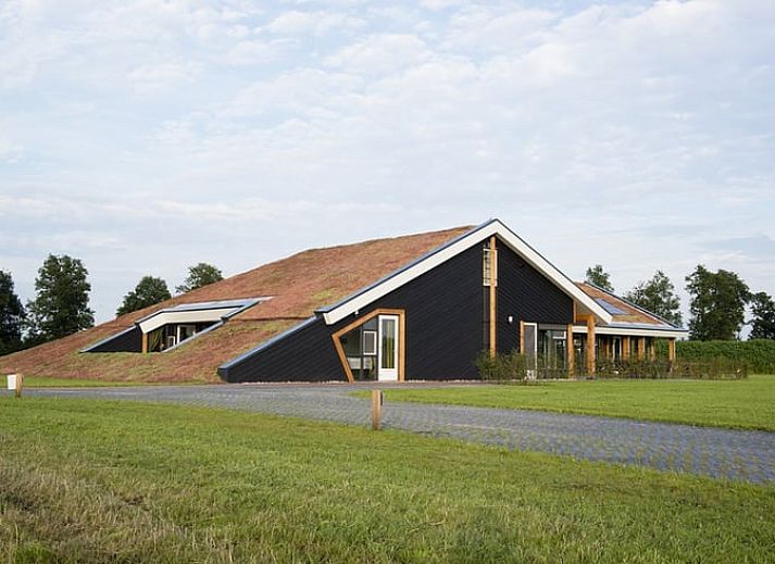 Ferienhaus in Rijssen mit gruenem Dach und bunten Blumen in Twente, Overijssel.