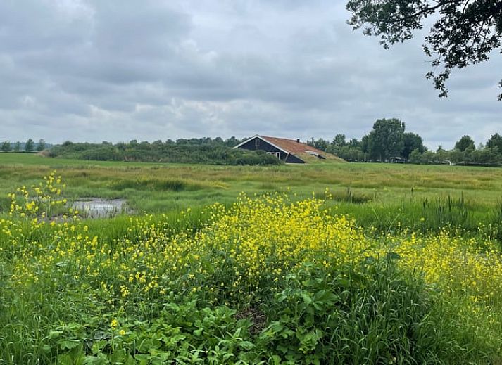 Ferienhaus in Rijssen mit gruenem Dach und bunten Blumen in Twente, Overijssel.