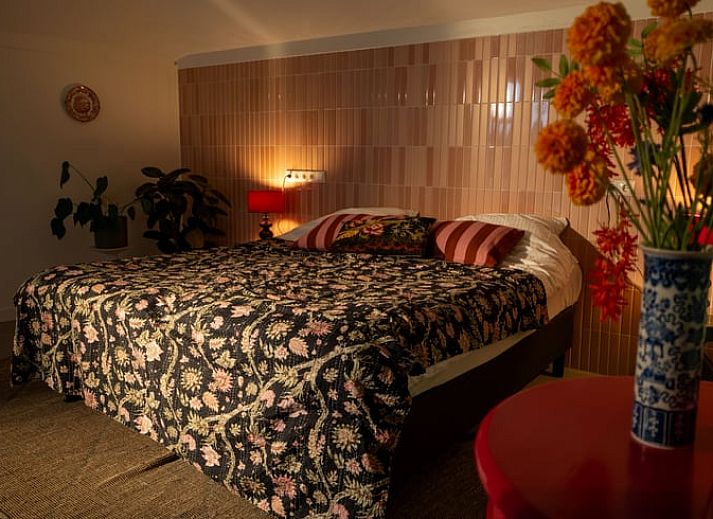 Blick auf die Natur rund um Cottage in Rijssen, ein ruhiges Ferienhaus in Twente, Overijssel.