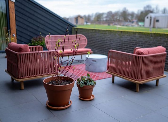 Blick auf die Natur rund um Cottage in Rijssen, ein ruhiges Ferienhaus in Twente, Overijssel.